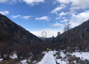 停电了怎么给小太阳鹦鹉保暖一下？游戏画面